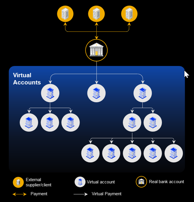 Virtual Account Management